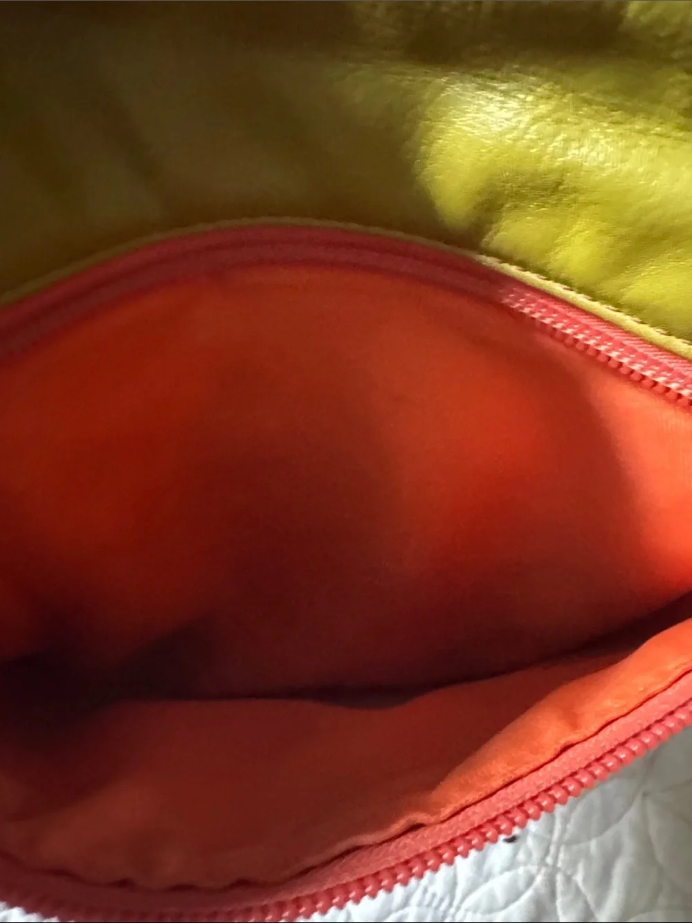 Olive Green Crossbody Bag with Blue Trim